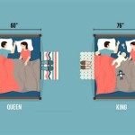 Exploring The Differences Between Queen And Double Bed Sizes